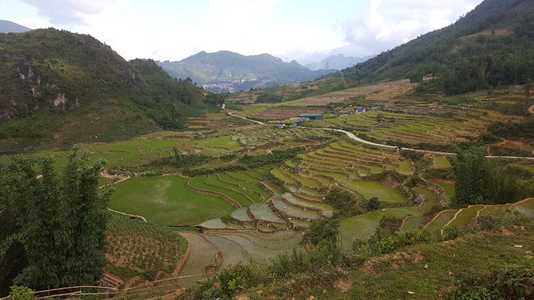 Vietnam - Sapa trekking - rice paddies