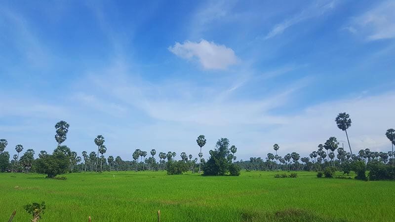 Kampong Chhnang rice paddies