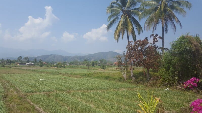 Countryside in Fang