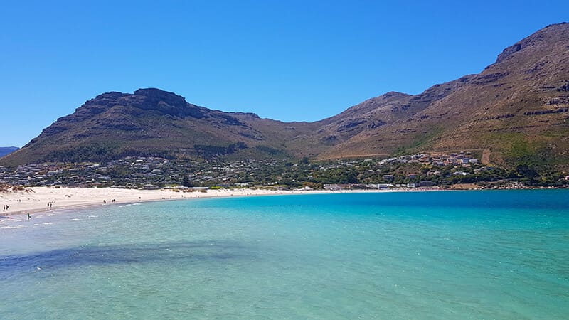 Things to do in Hout Bay: Hout Bay Beach in Hout bay, Cape Town, South Africa