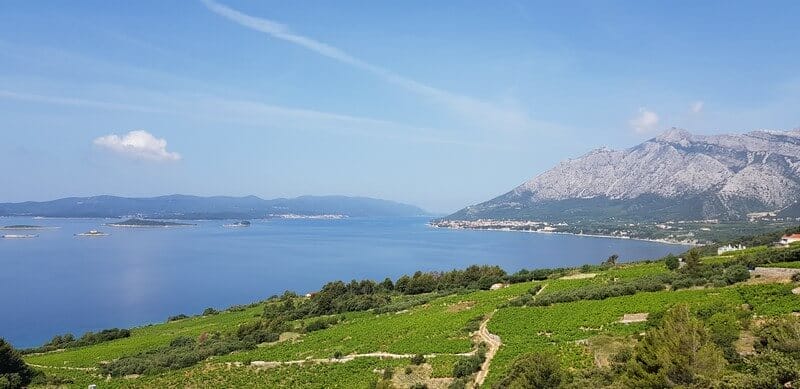 Peljasec Peninsula - Vinyeards