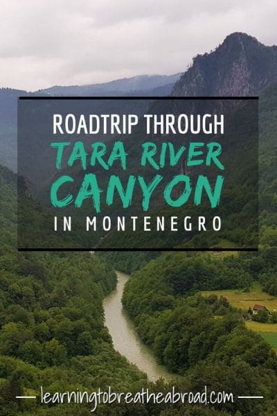 A road trip through Tara River Canyon in Montenegro
