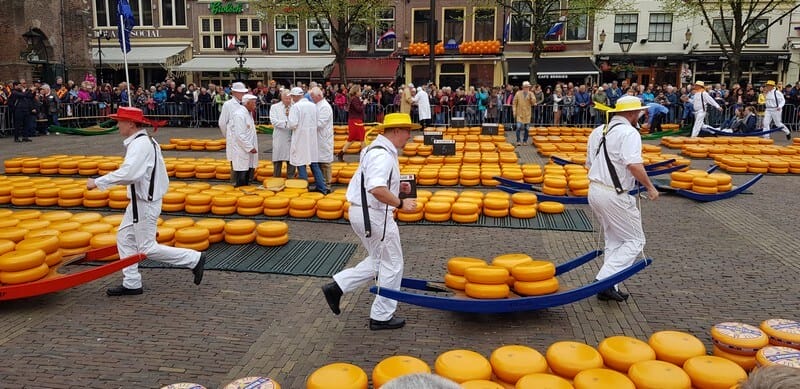 Alkmaar cheese market
