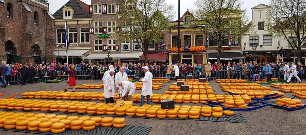 alkmaar cheese market