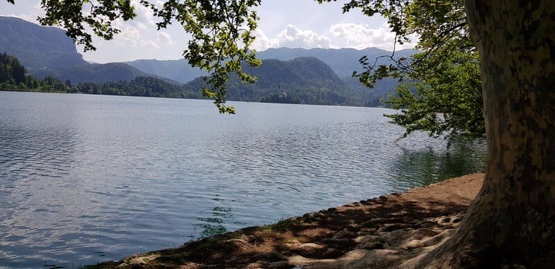 Things to do in Lake Bled: Hike to trail around the lake