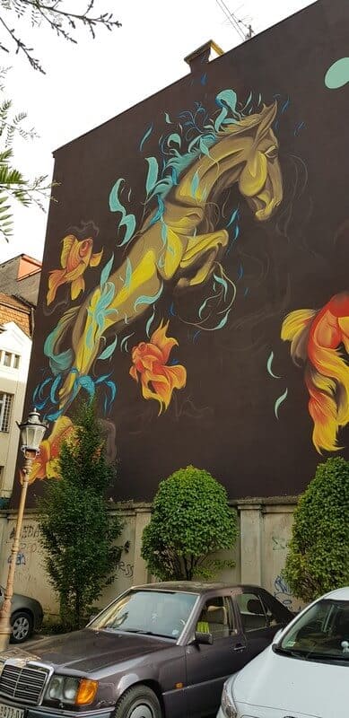 Sightseeing Tour of Novi Sad: Graffiti