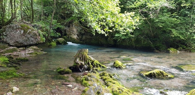 Radac - Trout farms and waterfalls