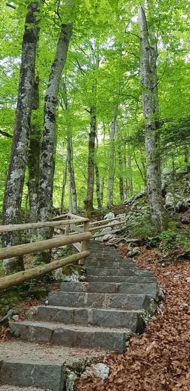 Hiking to Slap Savica Waterfall near Lake Bohinj