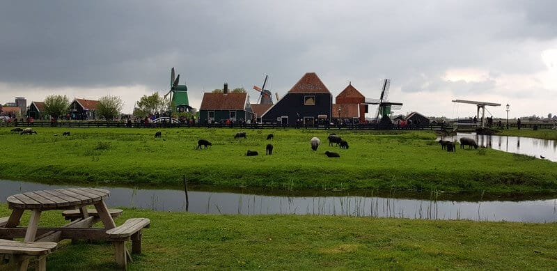 Pastoral scenes at Zaanse Schans in Netherlands