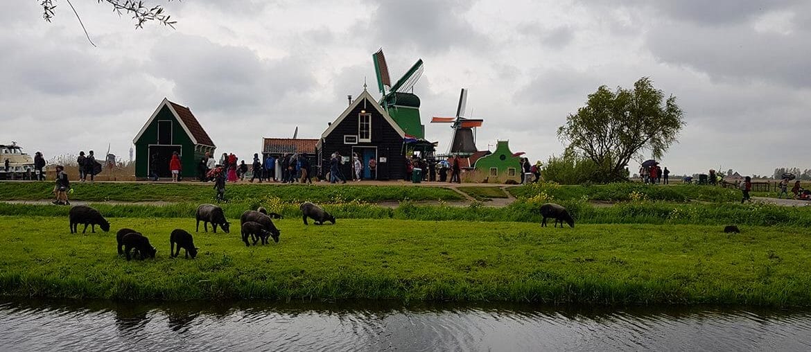 Zaanse Schans old Dutch Village