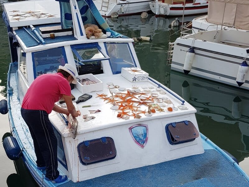 Top 12 Things to do in Zadar