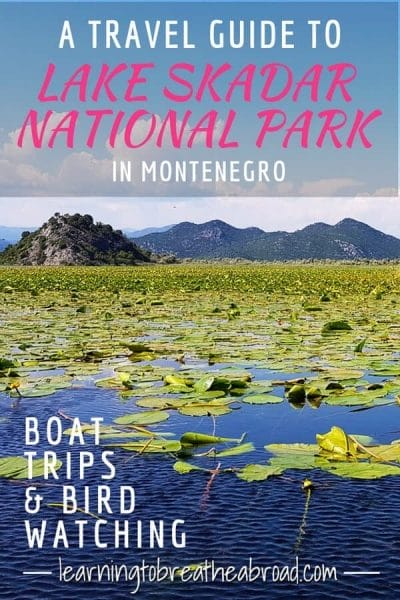 A travel guide to Lake Skadar National Park in Montenegro. Surrounded by magnificent karst mountains, this vast wetland is teeming with wildlife, birds, monasteries and beaches. Offering Boat Trips and Bird Watching, Lake Skadar is one of the best things to do in Montenegro. #lakeskadar #montenegro #montenegrotravel