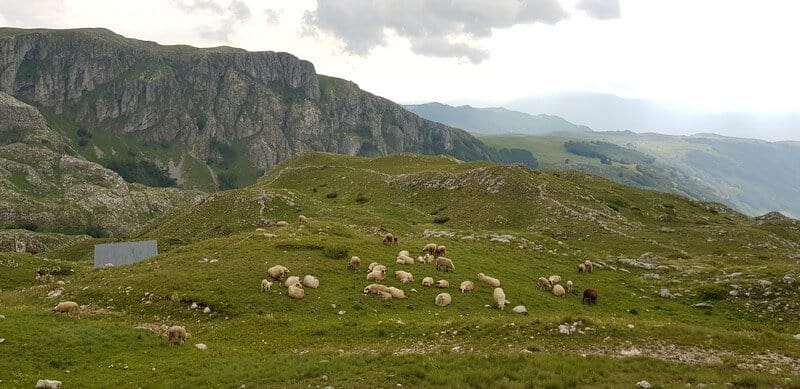 Durmitor National Park: Sedlo Pass Route