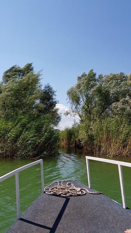 Lake Skadar: Narrow canal through the reeds