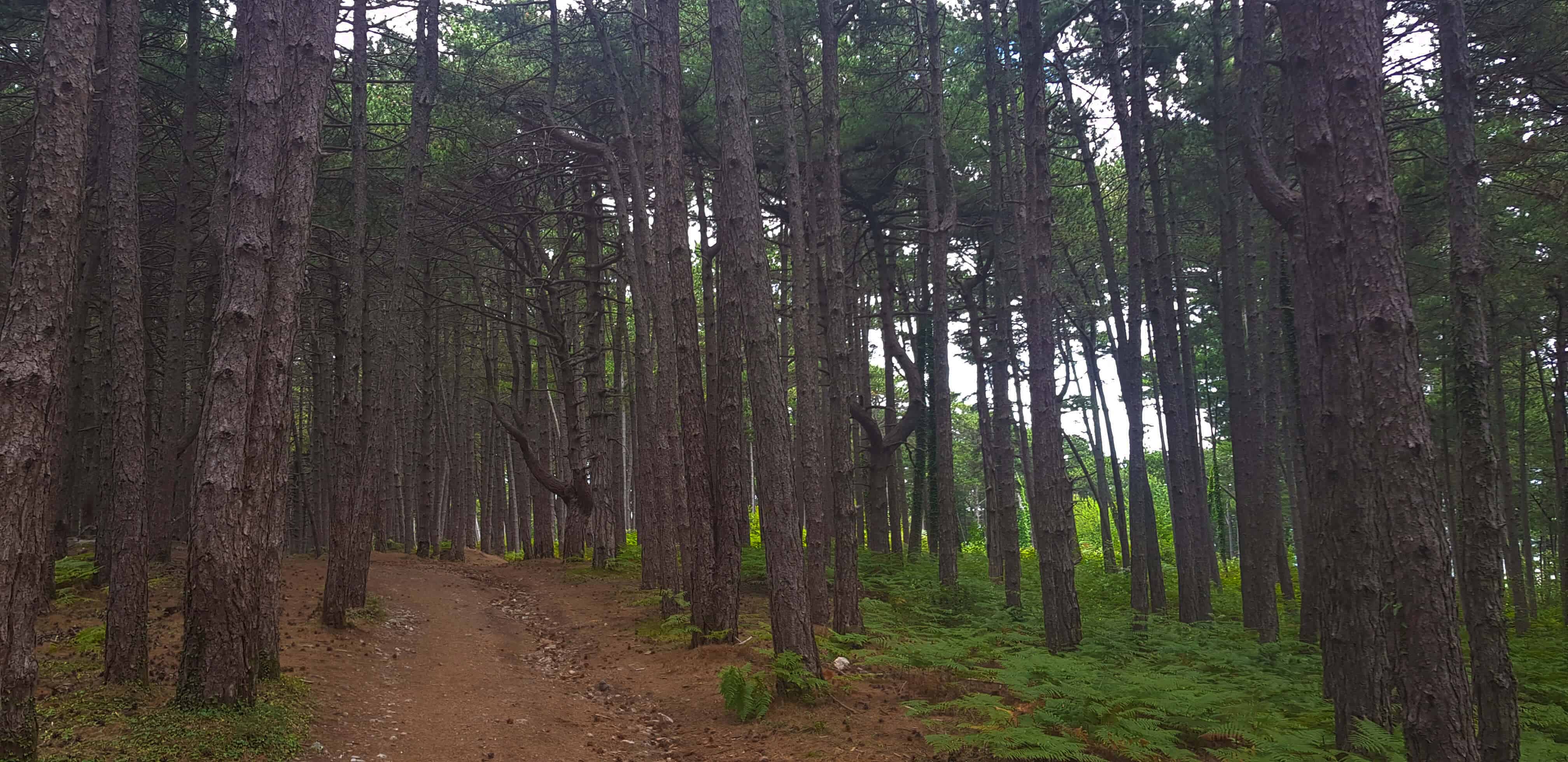 Hiking the Vrmac Ridge