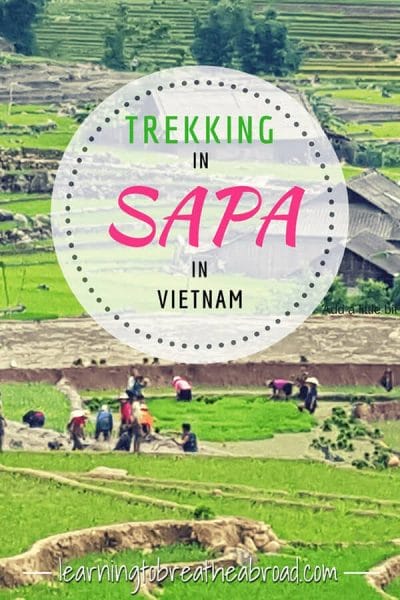 Trekking in Sapa was a highlight of our trip. Read about our personalised trekking in Sapa tour, including home stays, waterfalls and lots of rice paddies! #sapa #vietnam #trekking #trekkingsapa #southeastasia