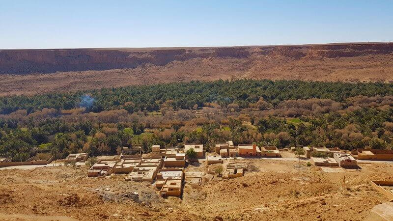 Ziz Gorge Palm Grove