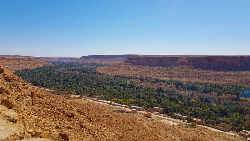 Palm Grove in the Ziz Gorge