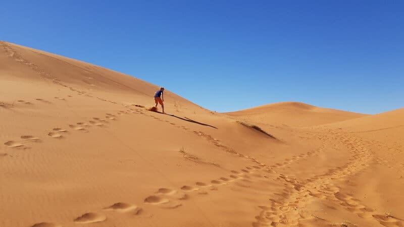Sandboarding in Merzouga in Morocco