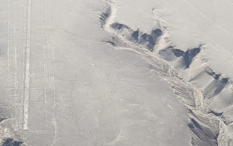 Nazca Lines - The Bird