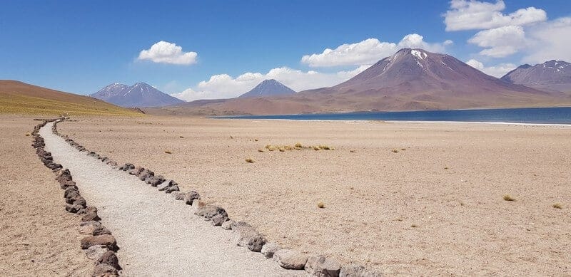 Laguna Miscanti in San Pedro de Atacama